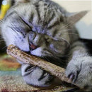 5 Varetinhas De Matatabi - Viu Pet