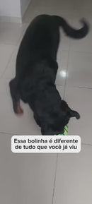 Bola Sonora Para Cachorro Brinquedo Interativo