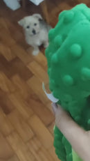 Brinquedo Pelúcia Polvo Com Apito