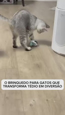 Brinquedo Interativo Elétrico Para Gato Drift - Recarregável