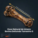 Úmero Bovino Desidratado