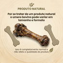 Úmero Bovino Desidratado