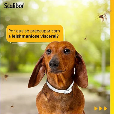 Coleira Antiparasitas Scalibor MSD - 48 cm - Viu Pet