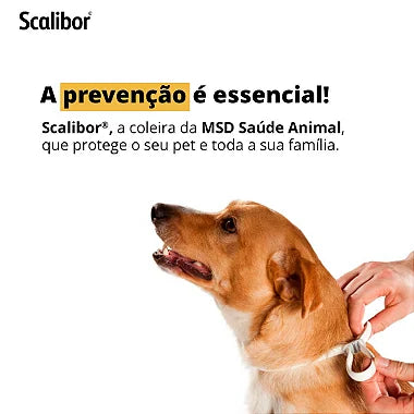 Coleira Antiparasitas Scalibor MSD - 65 cm - Viu Pet